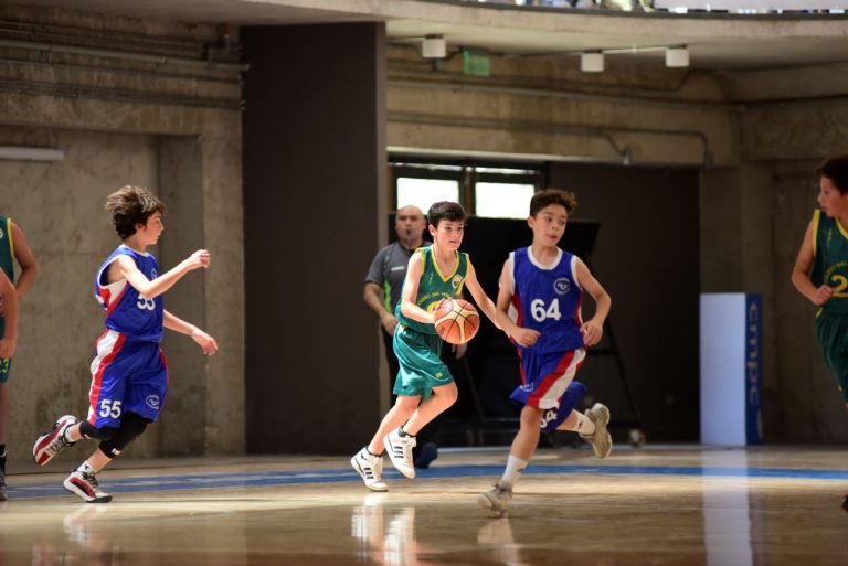 Básquetbol Soprole UC: Se viene la segunda fecha en Mini e Infantil